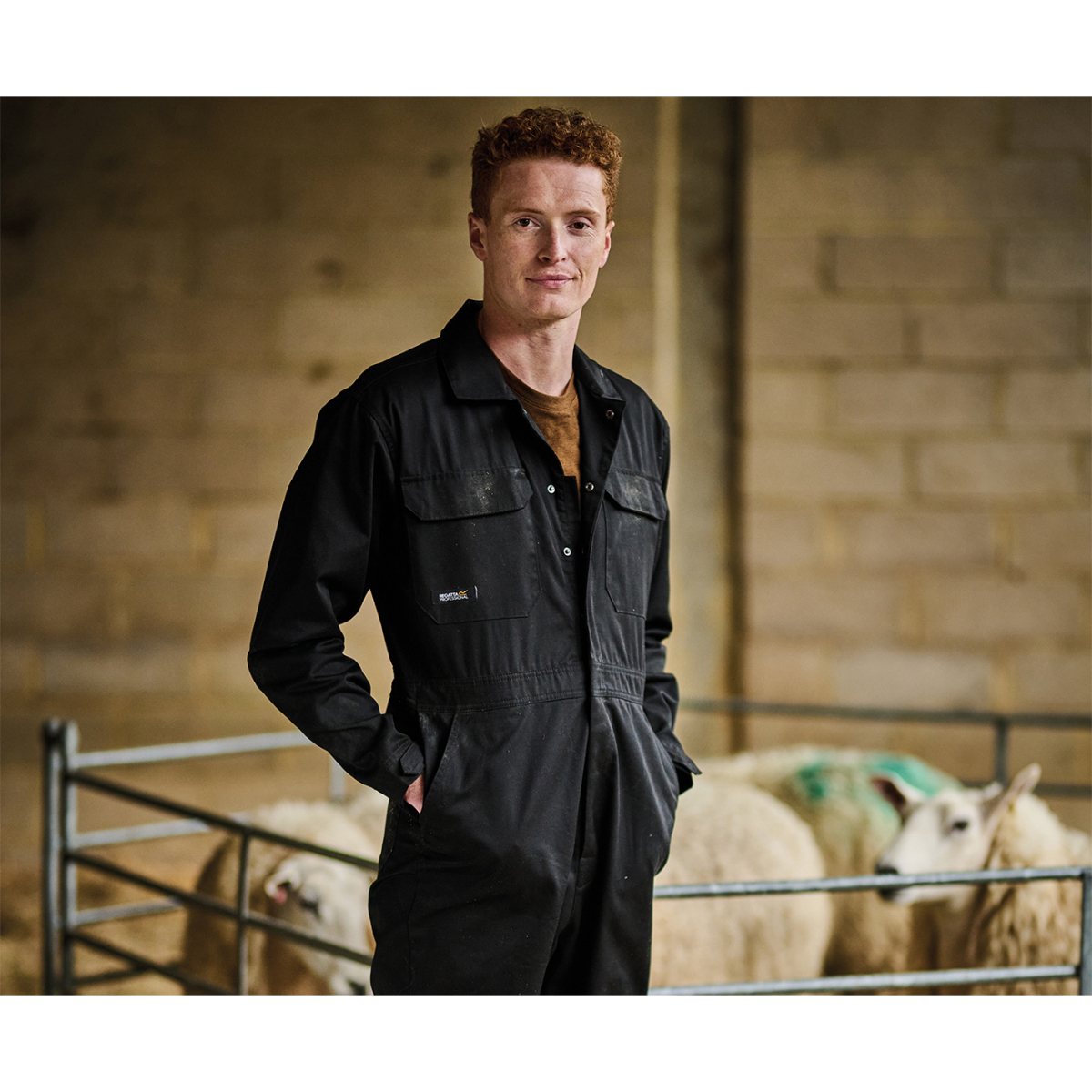 Regatta TRJ512 Pro Stud Fasten Coverall - 46" Regular - Royal Blue (RO)